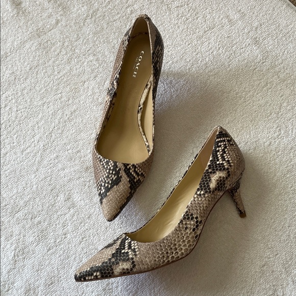Coach Python Leather Pointed Toe Kitten Heels - Picture 2 of 11